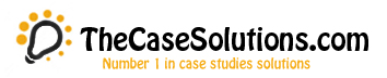 thecasesolutions.com
